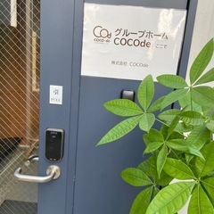 正社員・契約社員・週5アルバイト  募集‼️
