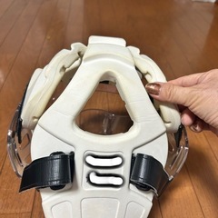 空手　MIZUNO 防具　メンホーの画像