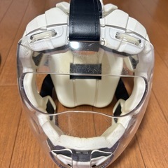 空手　MIZUNO 防具　メンホーの画像
