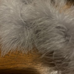 中古  ファーとチョーカーの画像