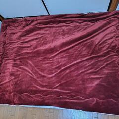 綿入り毛布(ブランケット)