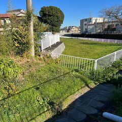雑草除去、抜根伐採、庭木剪定なら 【庭木植栽伐採センター 越谷支店】 - 越谷市