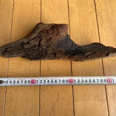 自然流木③