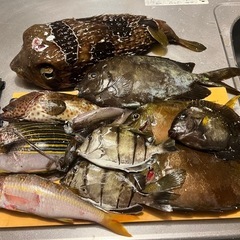 魚突きやりたい方