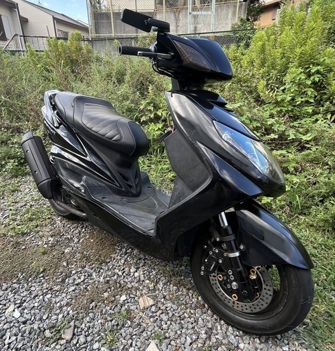 ヤマハシグナス2型国内