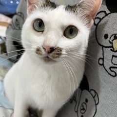 人慣れしてません