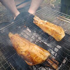 キャンプ、焚き火、BBQ🔥