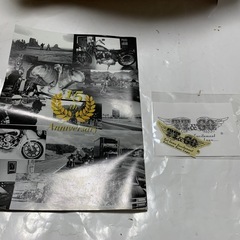 廃盤 TT&CO USAイーグル ハーフヘルメット の画像