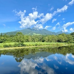 ひと段落した方々の会