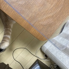 かなり安くします！コタツ付き昇降テーブルの画像