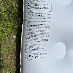 プールに！海に！の画像