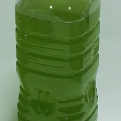 グリーンウォーター　2リットル　メダカにどうぞ！