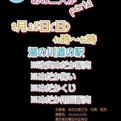 改良めだか　販売　めだか掬い等