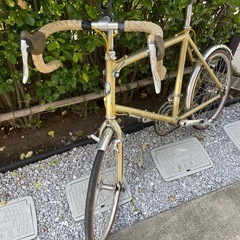 希少カラー】Bianchi（ビアンキ） Minivelo 8 Dropゴールド