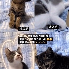 かわいい♡ 6月6日生まれの子たち