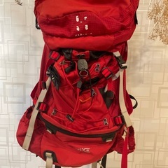 HOGLOFS ザックの画像