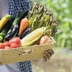 野菜や果物の【生産者様募集】～お野菜売ってみませんか？家庭菜園でも可 - メンバー募集