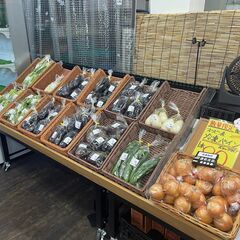 野菜や果物の【生産者様募集】～お野菜売ってみませんか？ - その他