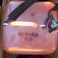 超熟成中 PSB (750ml) ⑤光合成細菌 めだかの箱庭製PSB1Lを培養 スプレー容器小分け(ゾウリムシとセットで100円引き)の画像