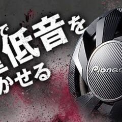 パイオニア アンプ内蔵30cmバスレフ型車載サブウーファー TS...