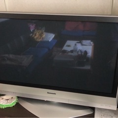 テレビ