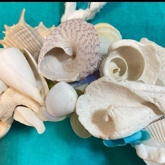 シェルリース　ハンドメイドリース　夏リースの画像