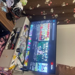 TOSHIBA REGZA