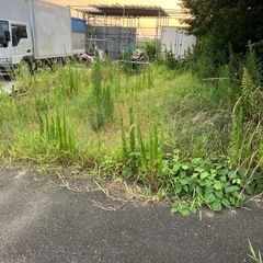 誰かお時間ある方助けて下さい