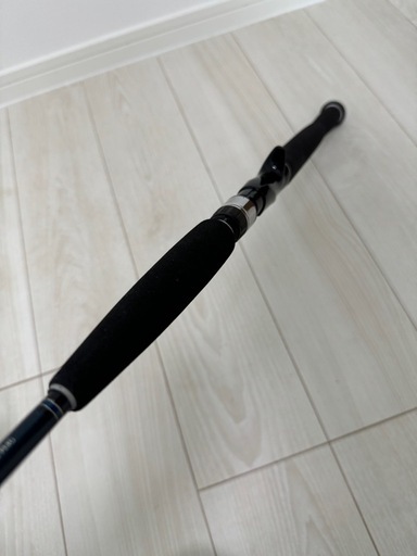 DAIWA SALTIGA ソルティガ COASTAL SG 55B-3/4