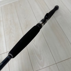 DAIWA SALTIGA ソルティガ COASTAL SG 55B-3/4の画像