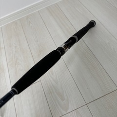 DAIWA SALTIGA ソルティガ COASTAL SG 55B-3/4の画像