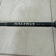 DAIWA SALTIGA ソルティガ COASTAL SG 55B-3/4の画像