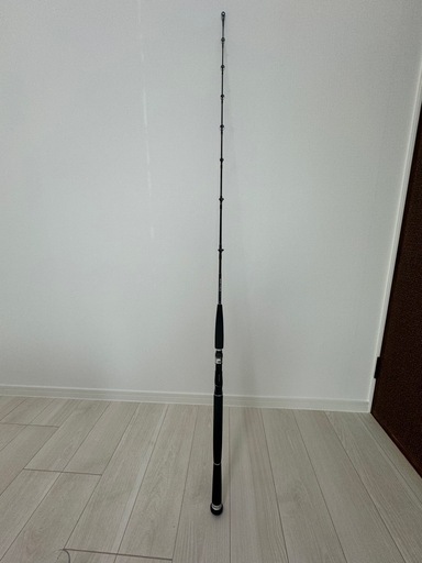 DAIWA SALTIGA ソルティガ COASTAL SG 55B-3/4