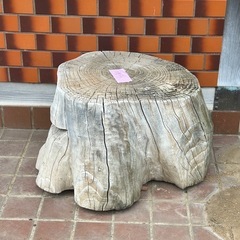 無料　切り株の画像