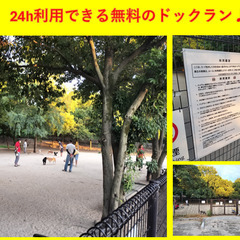 家賃2ヶ月無料🉐近隣に無料ドックラン🐶ペット可🐶敷礼仲介手数料ゼロ🉐