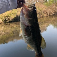 バス釣り