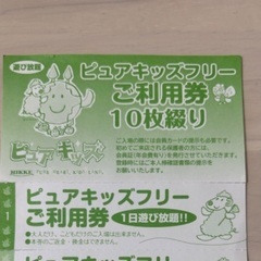 ピュアキッズ　旧回数券1枚　ニッケコルトンプラザ市川