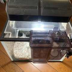 ライト付き水槽