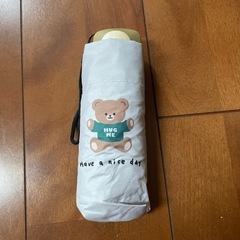 ⑧韓国購入 日傘