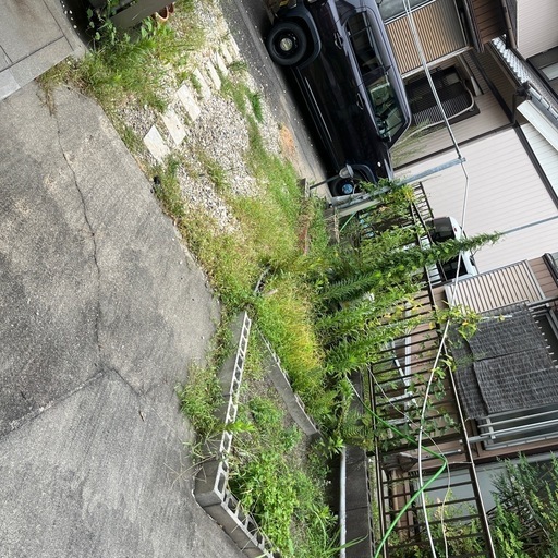 草むしり\n