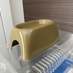 シェルター　爬虫類