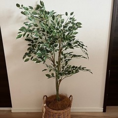 【受け渡し予定者決定】フェイクグリーン　観葉植物　　　