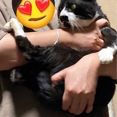 一旦保留 − 秋田県