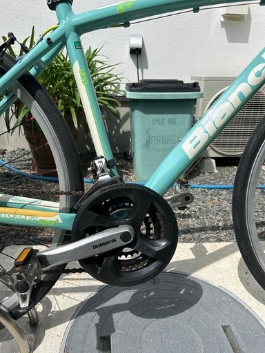 BIANCHI　CAMELEONTE(ビアンキ カメレオンテ)