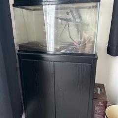 60センチ水槽セット
