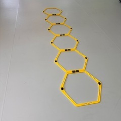 ヘキサゴンラダー導入しました
