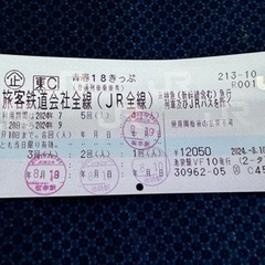 18きっぷ  残り１回分 返却不要 手渡し松本駅 