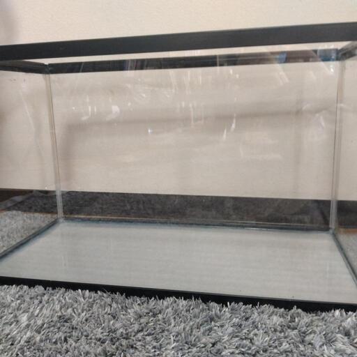 60cm フレーム水槽