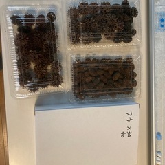 コヤシャシブシとフウの実