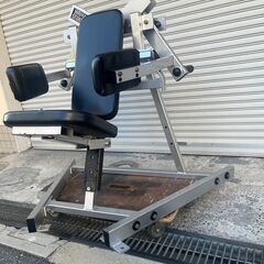 HAMMER STRENGTH　ハンマーストレングス　プレートロード ラテラル・レイズ　中古　の画像